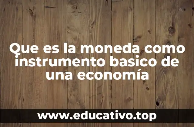 Que es la moneda como instrumento basico de una economía