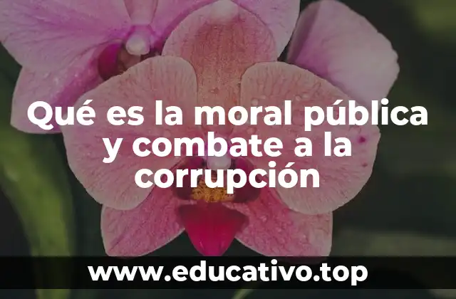 Qué es la moral pública y combate a la corrupción