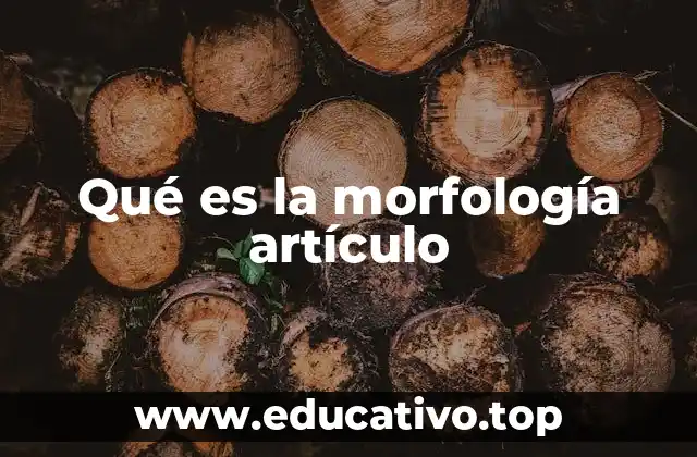 Qué es la morfología artículo