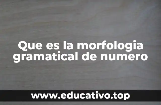 Que es la morfologia gramatical de numero