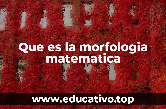 Que es la morfologia matematica