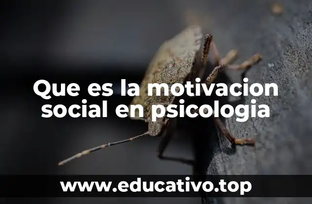 Que es la motivacion social en psicologia