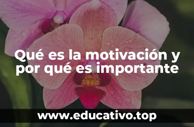 Qué es la motivación y por qué es importante