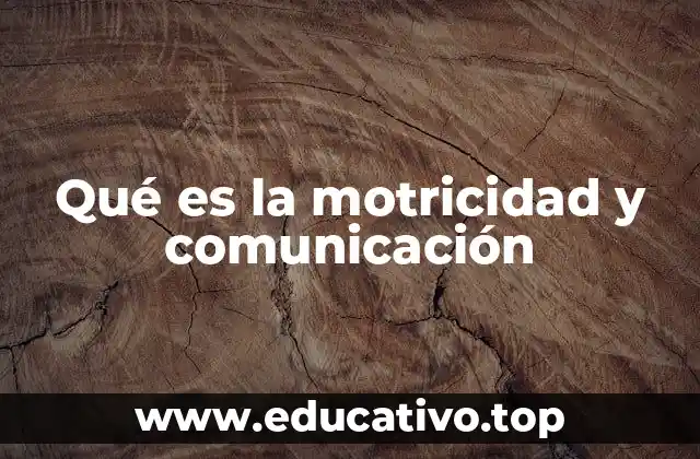 Qué es la motricidad y comunicación