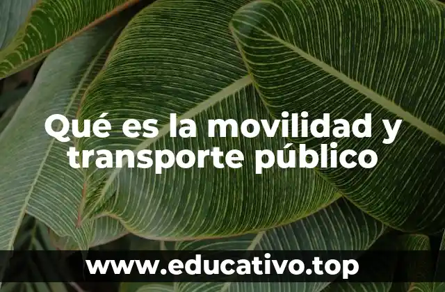 Qué es la movilidad y transporte público