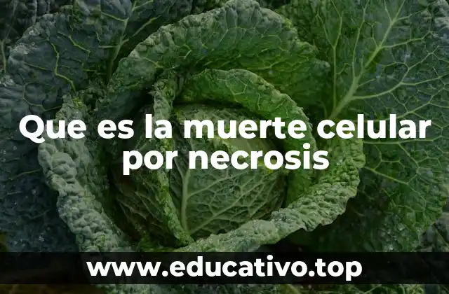 La muerte celular anormal y sus consecuencias