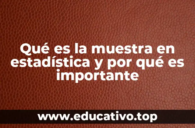 El papel de la muestra en el análisis de datos