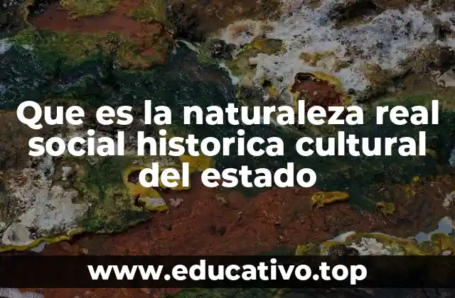 Que es la naturaleza real social historica cultural del estado