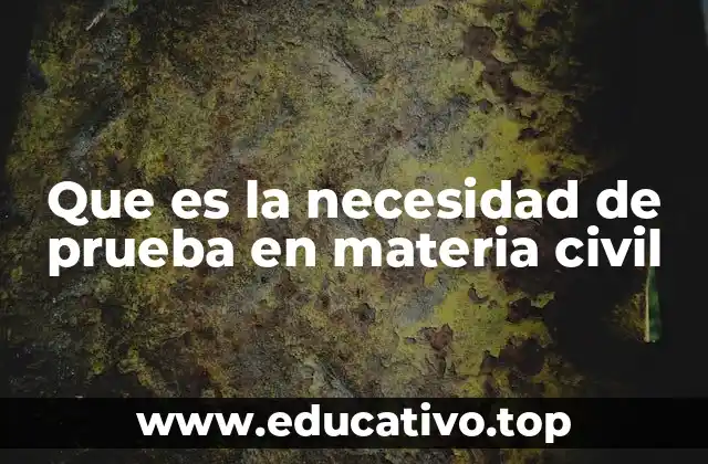 Que es la necesidad de prueba en materia civil