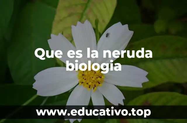 La importancia de los nombres comunes en la biología