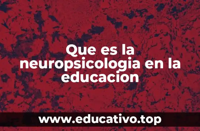 Que es la neuropsicologia en la educacion