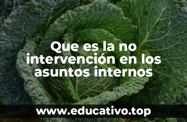 Que es la no intervención en los asuntos internos