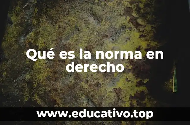 Qué es la norma en derecho