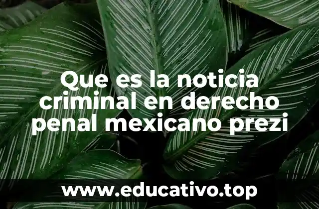 El papel de la noticia criminal en el sistema legal mexicano