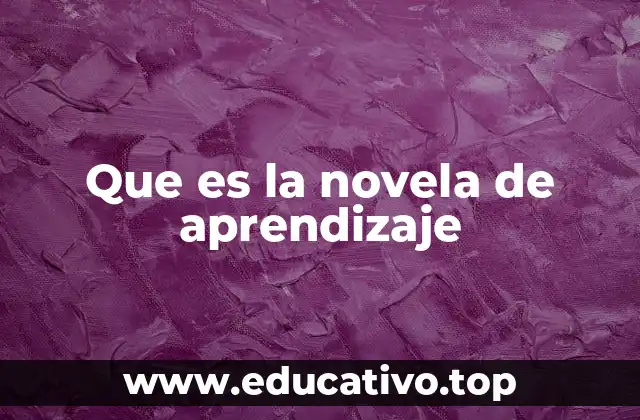 Que es la novela de aprendizaje