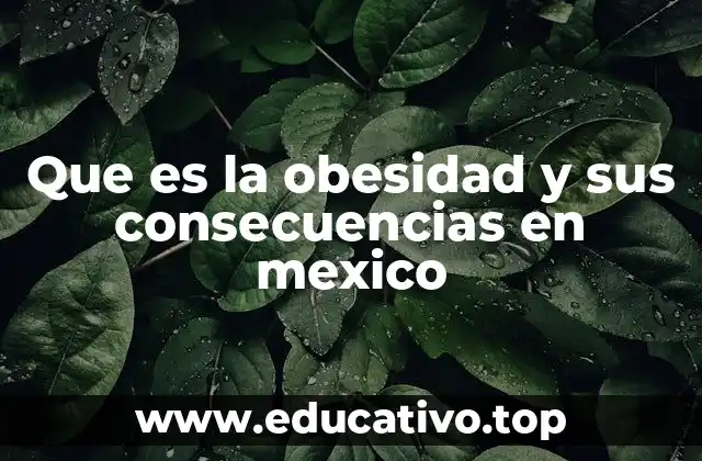 Que es la obesidad y sus consecuencias en mexico