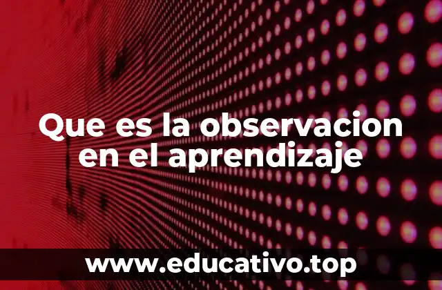 Que es la observacion en el aprendizaje