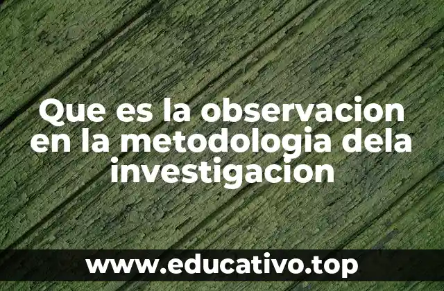 Que es la observacion en la metodologia dela investigacion