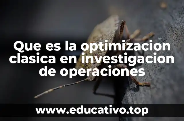 Que es la optimizacion clasica en investigacion de operaciones