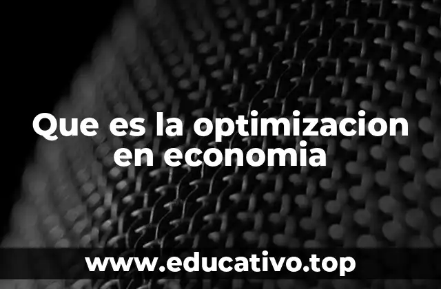 Que es la optimizacion en economia