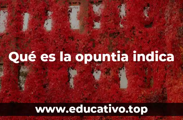 Qué es la opuntia indica