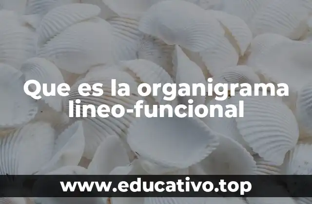 Que es la organigrama lineo-funcional