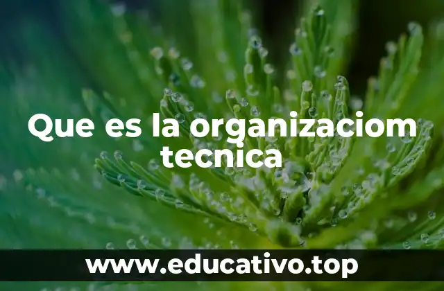 Que es la organizaciom tecnica