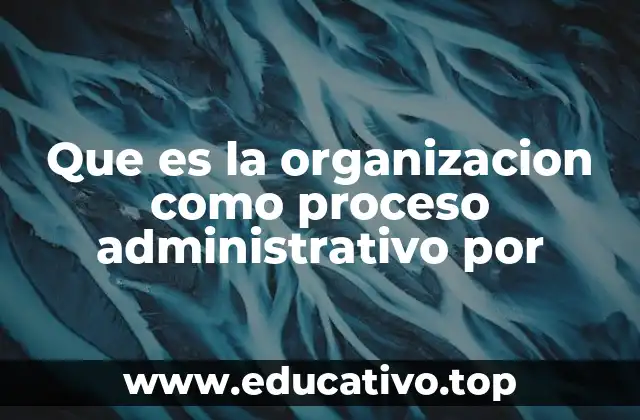Que es la organizacion como proceso administrativo por