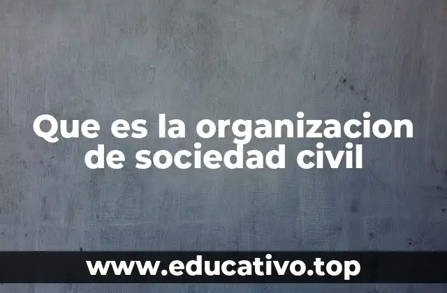 Que es la organizacion de sociedad civil