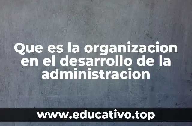 Que es la organizacion en el desarrollo de la administracion
