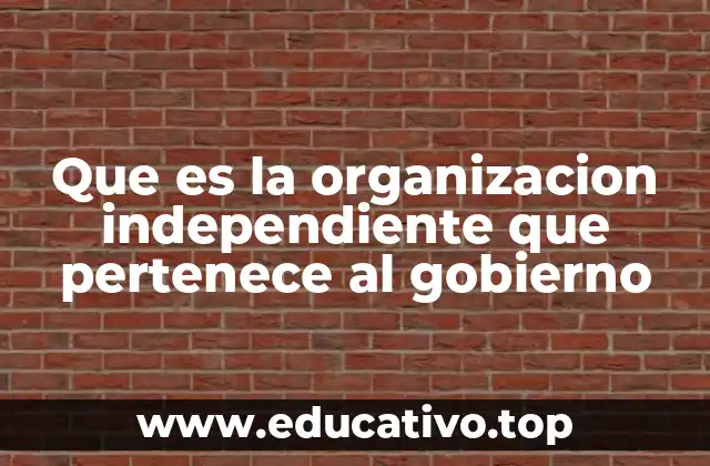 Que es la organizacion independiente que pertenece al gobierno