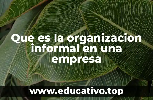 Que es la organizacion informal en una empresa