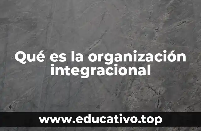 Qué es la organización integracional