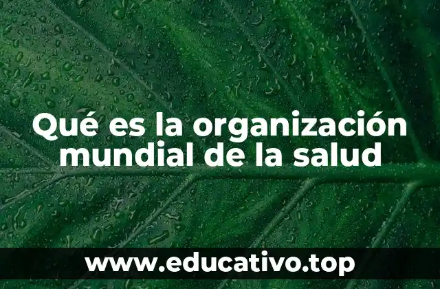 Qué es la organización mundial de la salud