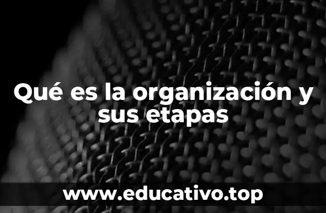 Qué es la organización y sus etapas