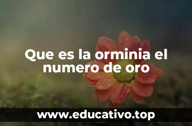 Que es la orminia el numero de oro
