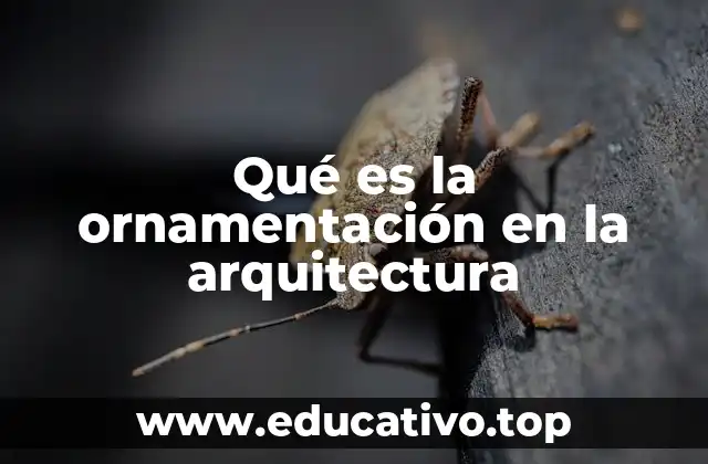 Qué es la ornamentación en la arquitectura