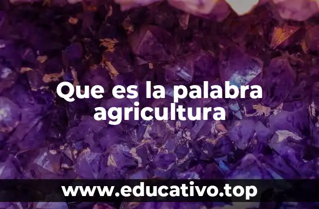 Que es la palabra agricultura