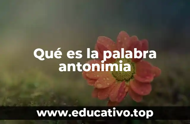 Qué es la palabra antonimia