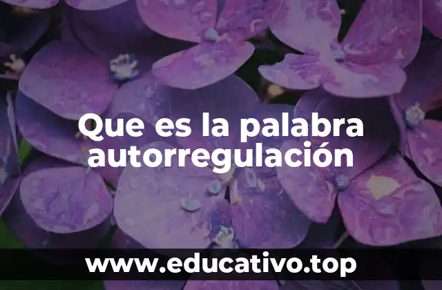 Que es la palabra autorregulación
