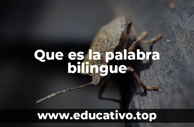 Que es la palabra bilingue