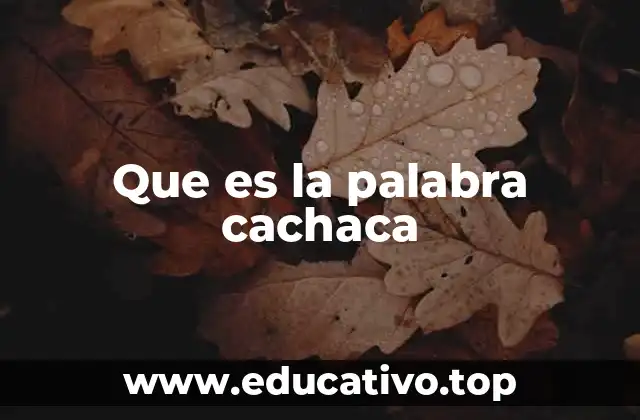 Que es la palabra cachaca