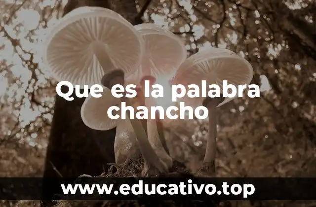 Que es la palabra chancho