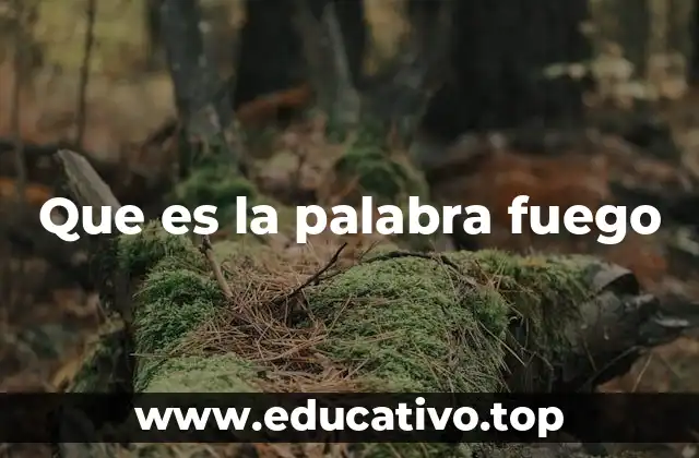 El fuego en la vida cotidiana y en la naturaleza
