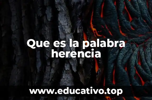 Que es la palabra herencia