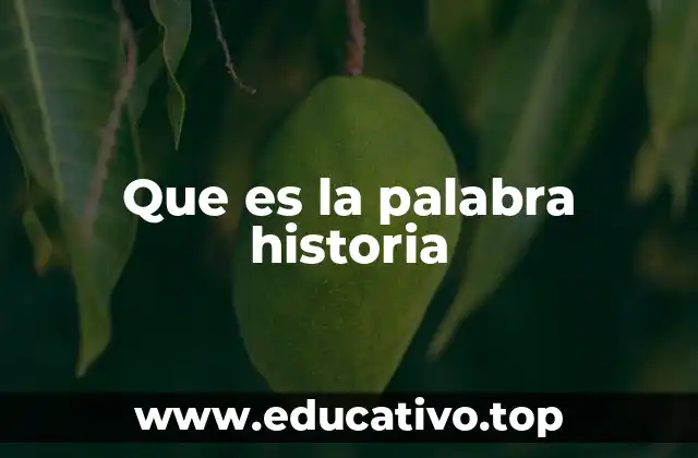 Que es la palabra historia