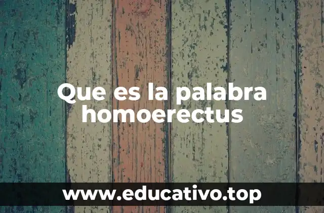 Que es la palabra homoerectus