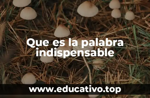 Que es la palabra indispensable