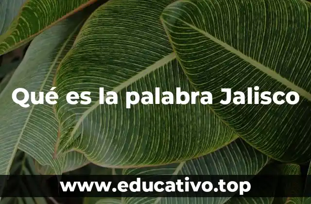 Qué es la palabra Jalisco