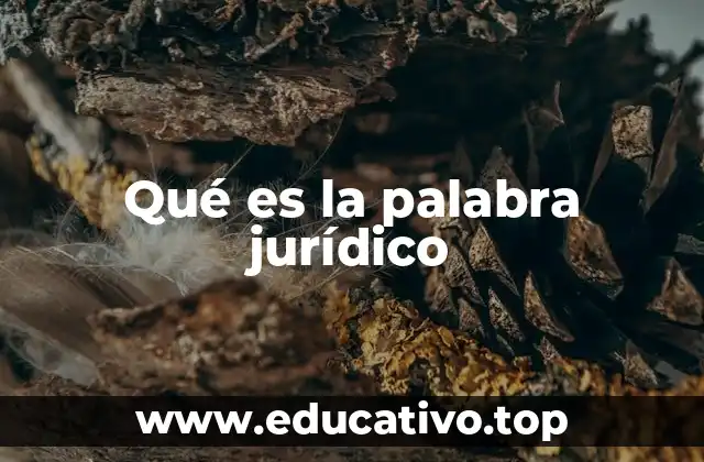 Qué es la palabra jurídico